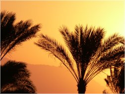 Достопримечательности Египта: Шарм-Эль-Шейх, Синайский полуостров (Синай)